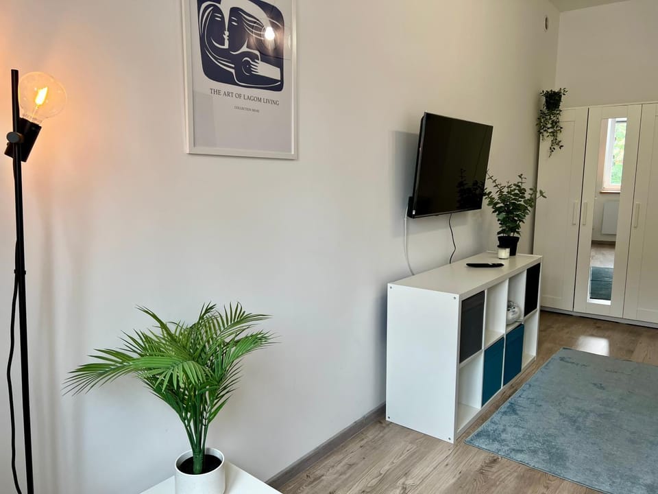TV and multimedia, Living room, wardrobe