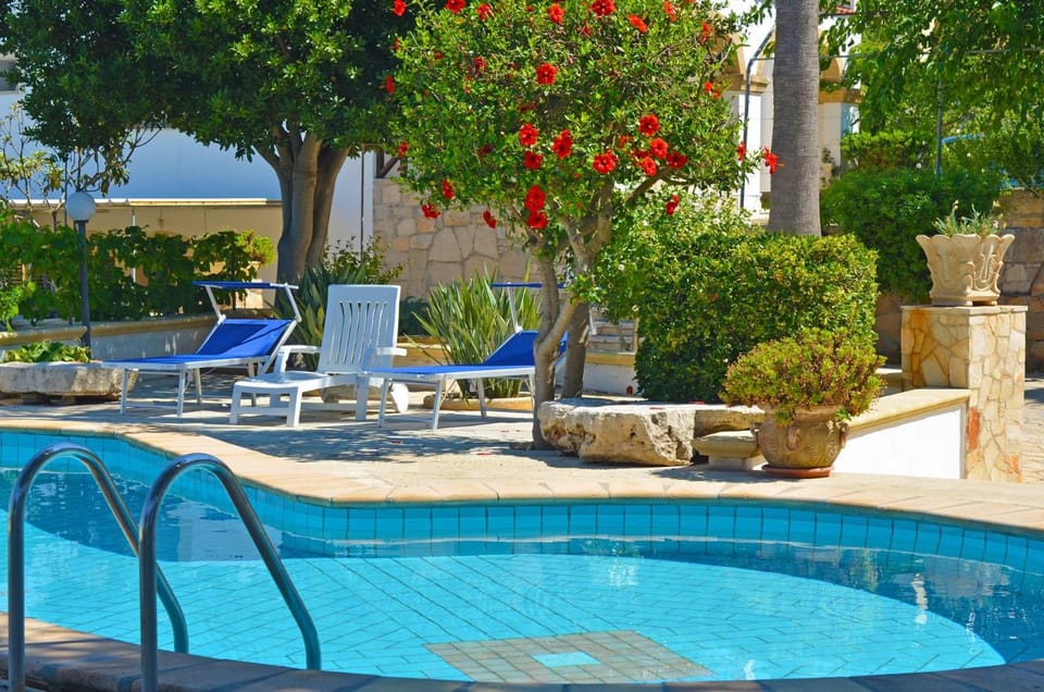 Day, Garden, Garden view, Pool view, Swimming pool, sunbed