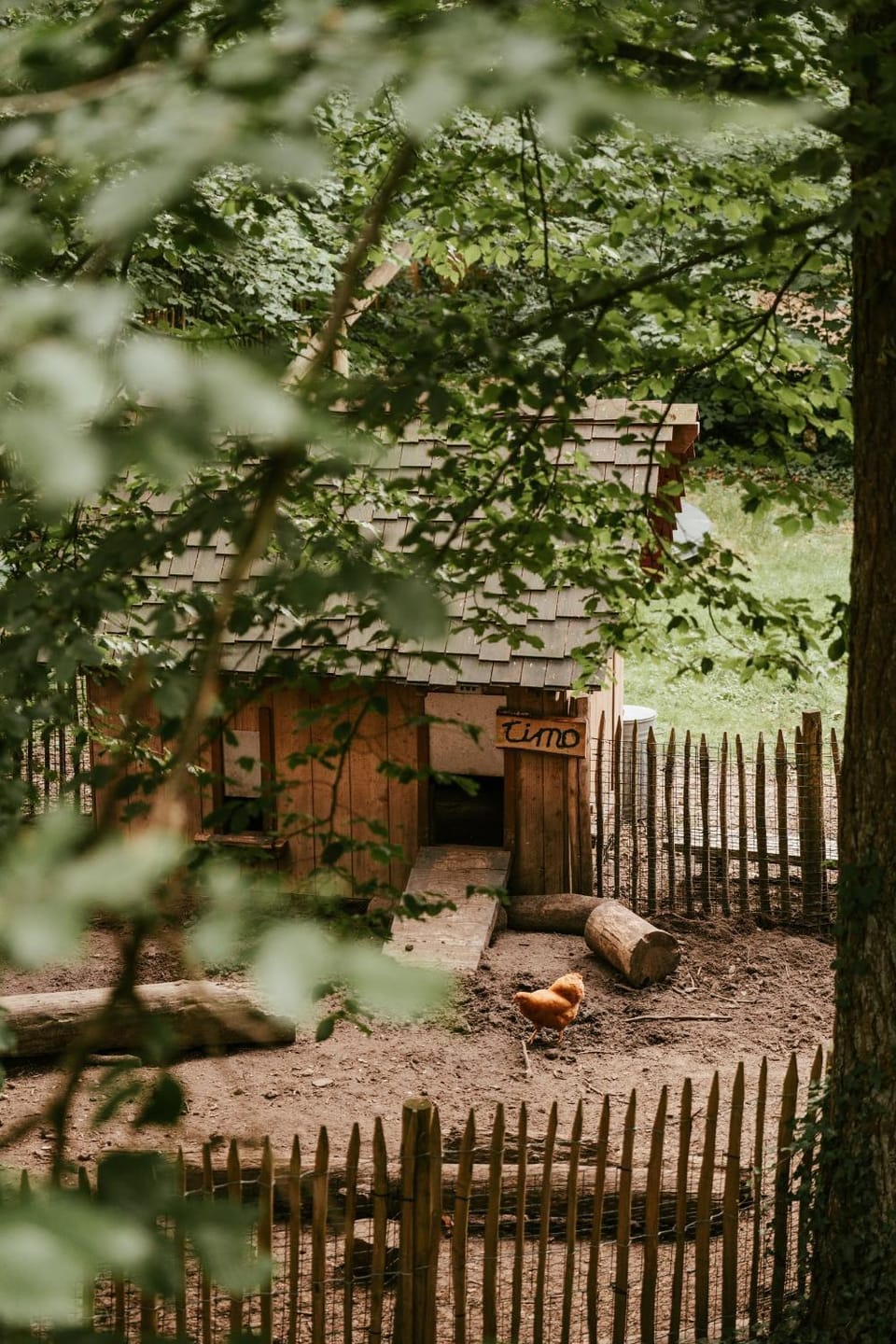 Cozy cottages by Bed en Boshuisjes Campground/ 
RV Resort in North Brabant (province)