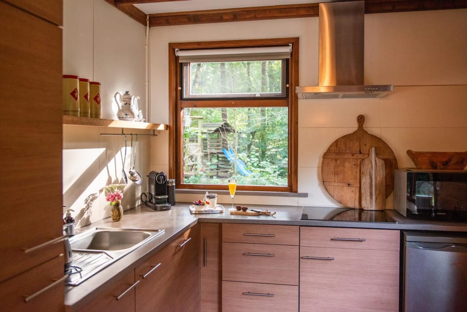 Kitchen or kitchenette, dishwasher, stove