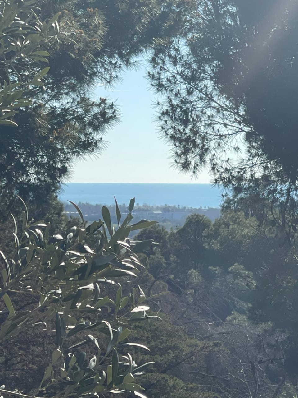 Sea view