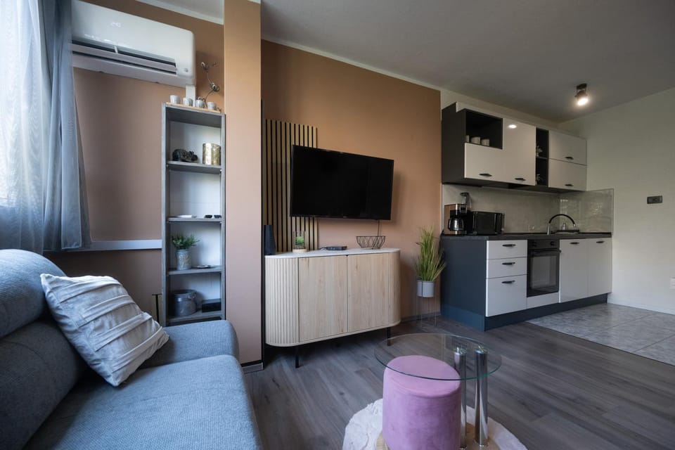 Communal lounge/ TV room, TV and multimedia, Kitchen or kitchenette, Living room, Seating area, oven, stove, air conditioner