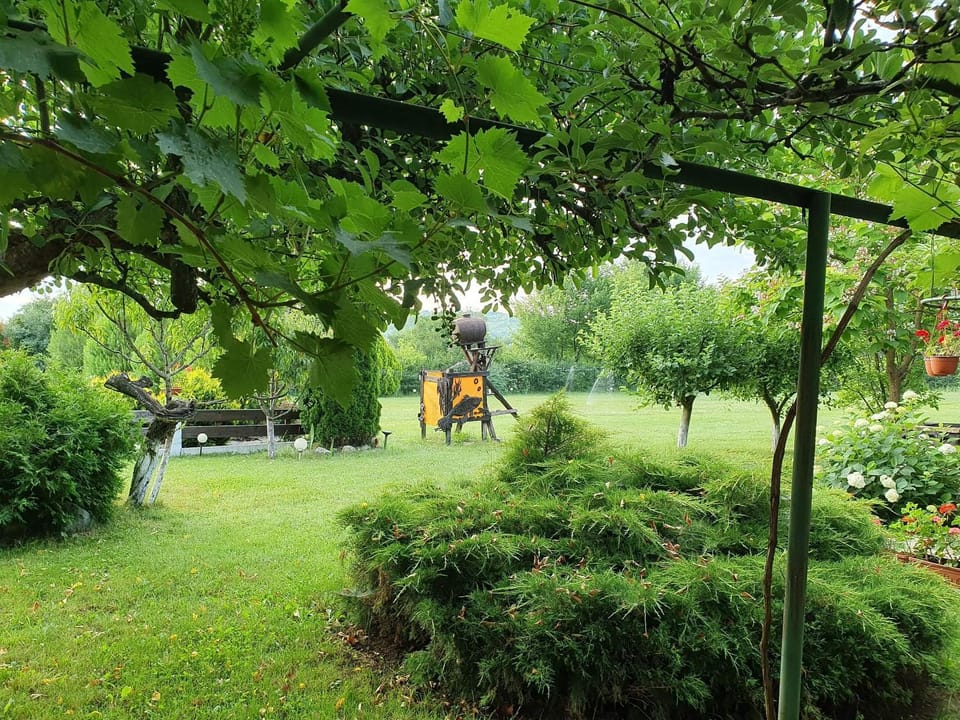 Spring, Day, Natural landscape, Garden, Bathroom, Garden view