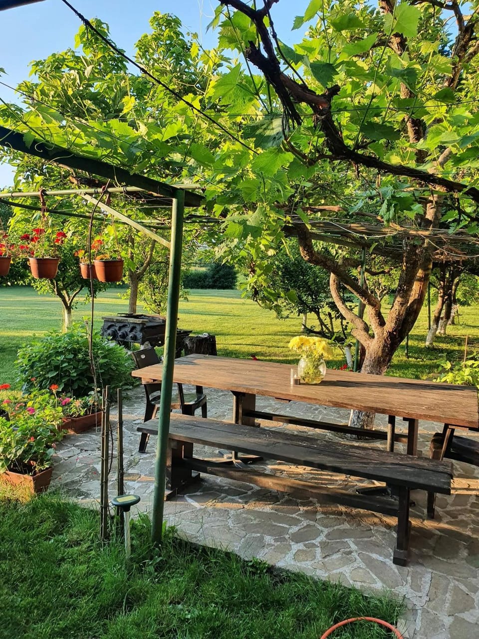 Spring, Day, Natural landscape, Garden, Garden view