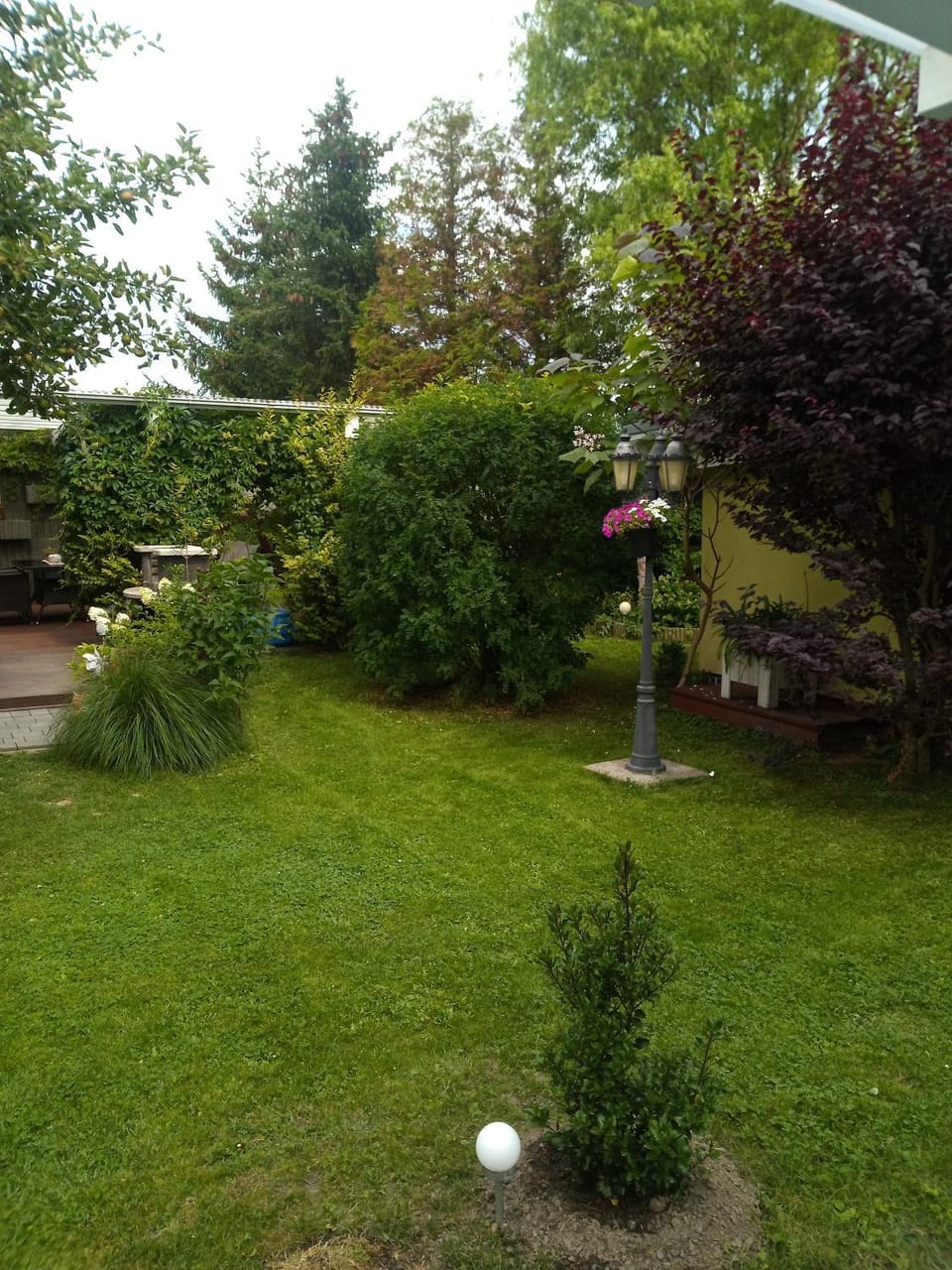 Garden view