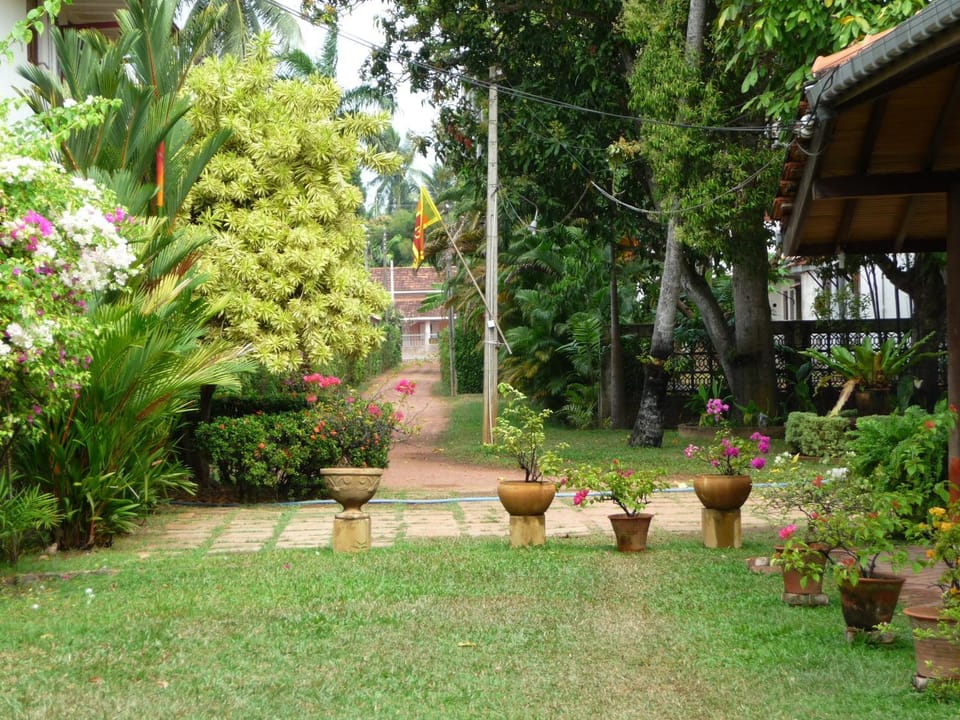 Area and facilities