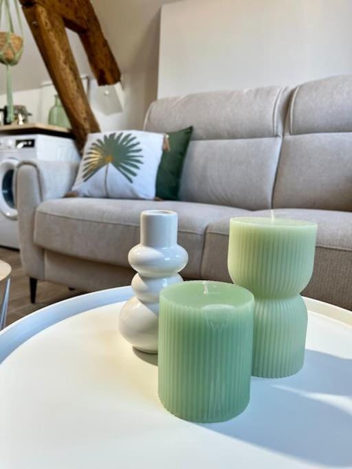 Le Cosy - Hyper Centre Ville Apartment in Île-de-France