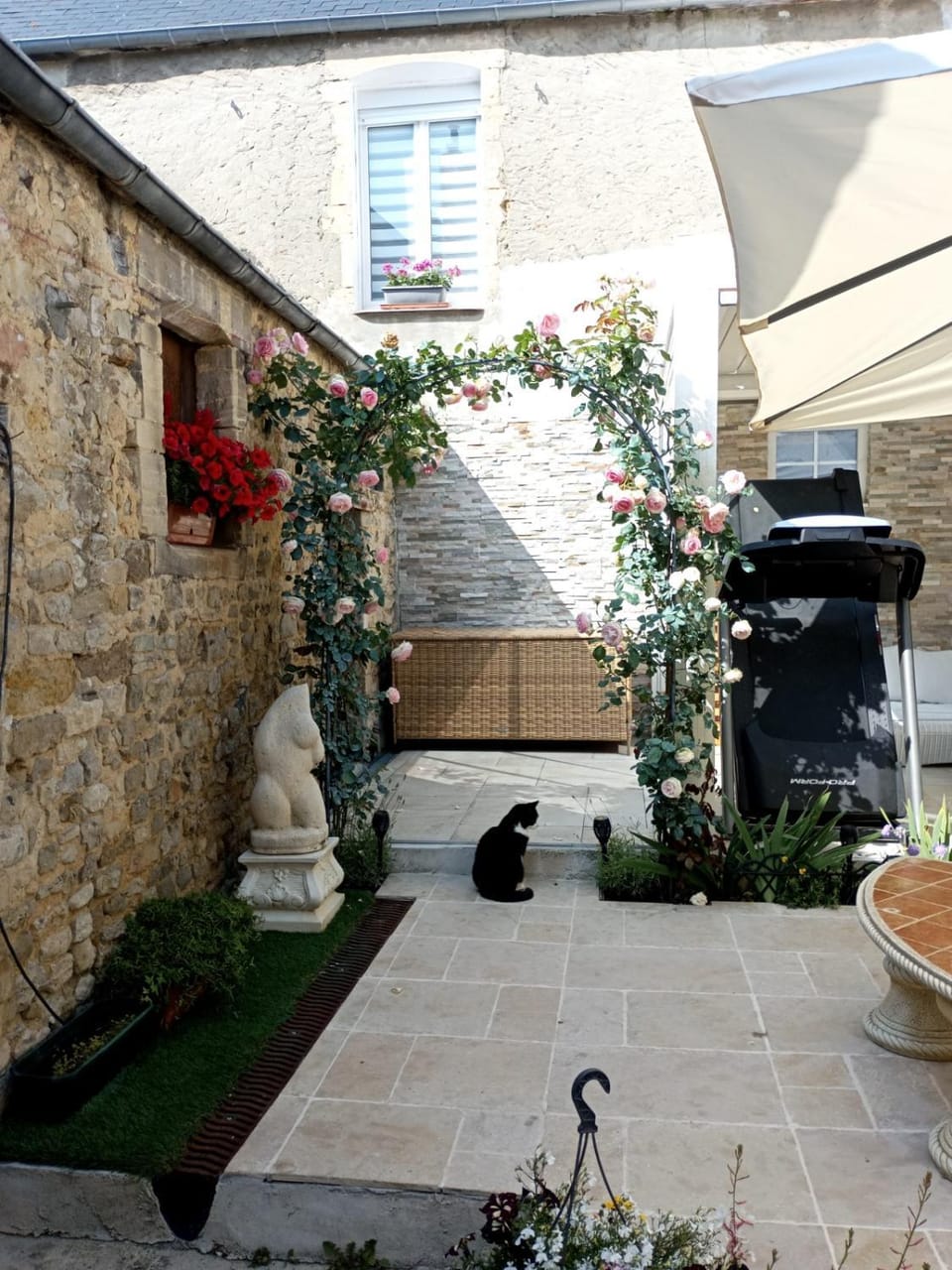 Patio, Day, Garden view