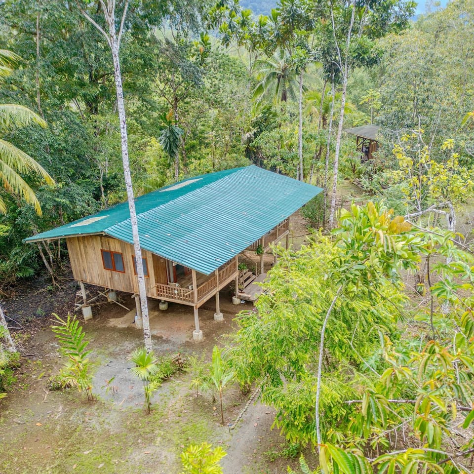 Property building, Natural landscape, Garden view