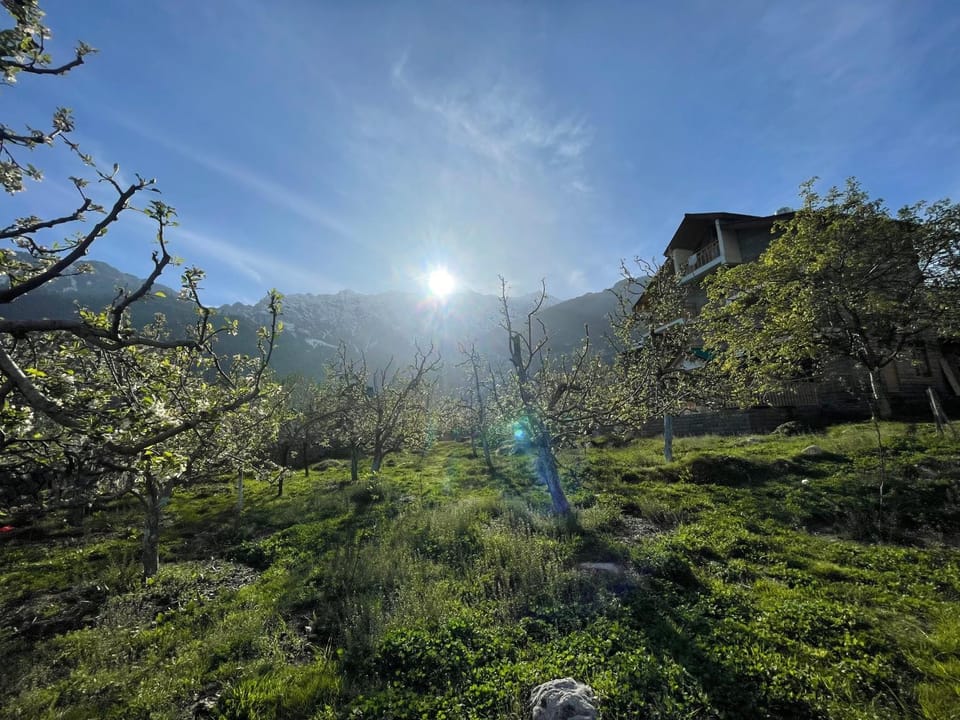 heavens retreat manali Hotel in Himachal Pradesh