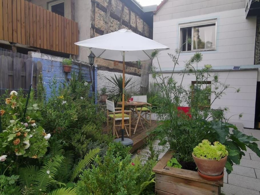 Patio, Garden, Dining area