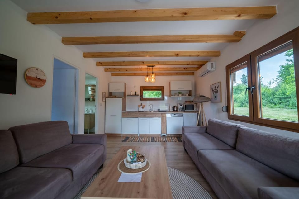 Kitchen or kitchenette, Living room, Dining area