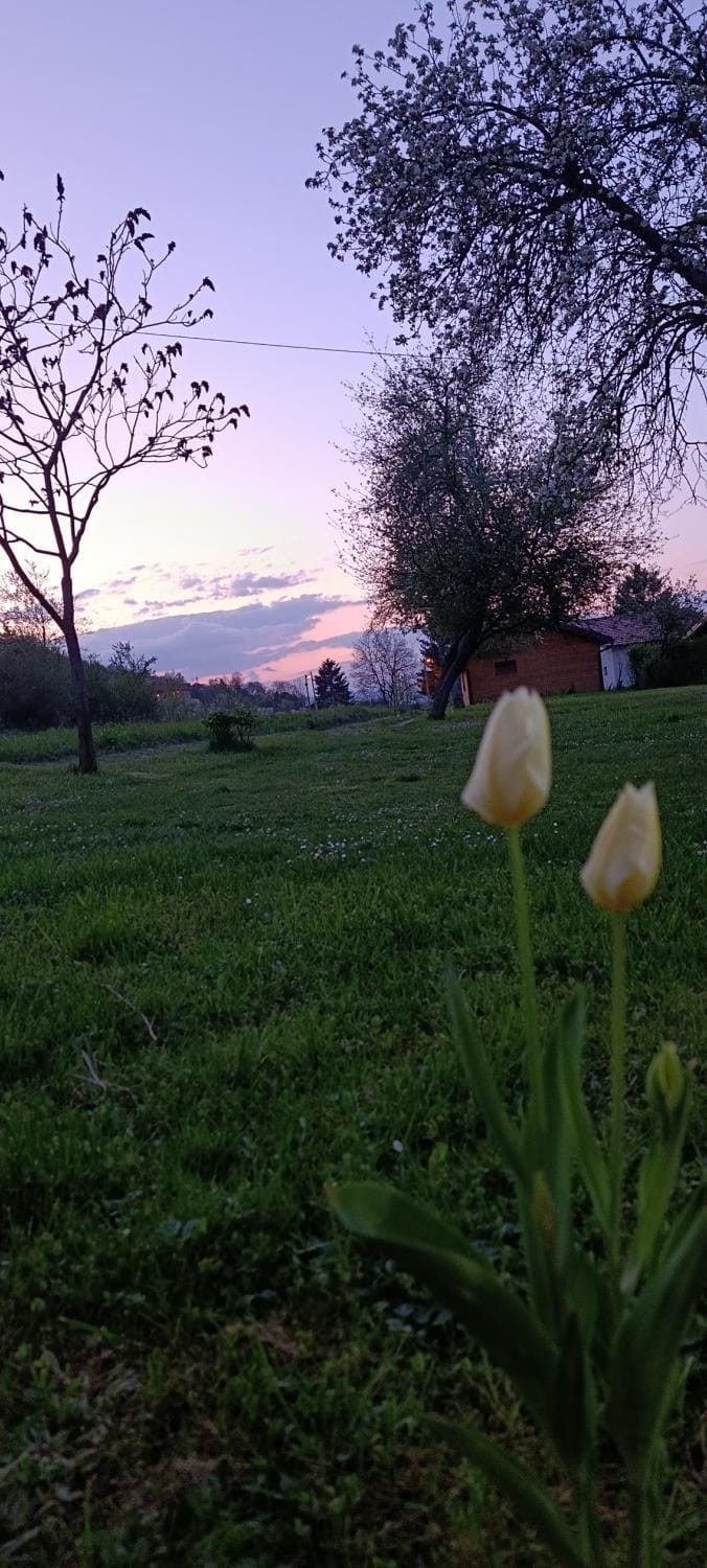 Sweet Home Visoko FREE PARKING, AC, RENT A CAR House in Federation of Bosnia and Herzegovina