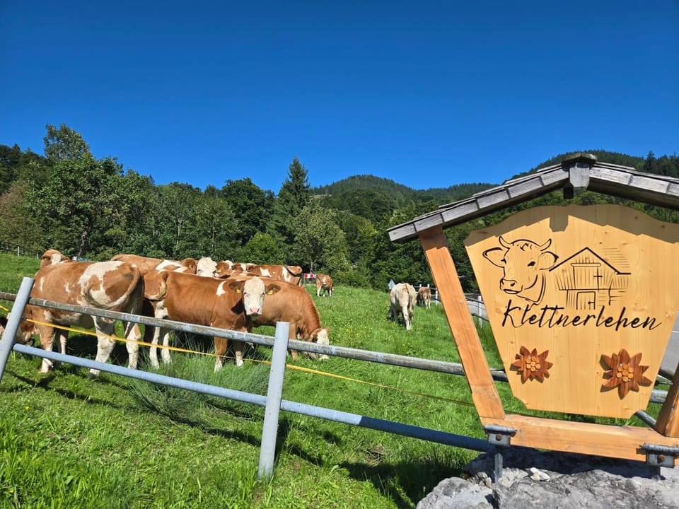 Klettnerlehen Ferienwohnung Apartment in Berchtesgadener Land
