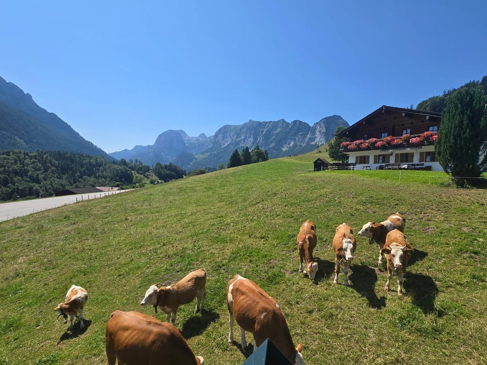 Klettnerlehen Ferienwohnung Apartment in Berchtesgadener Land
