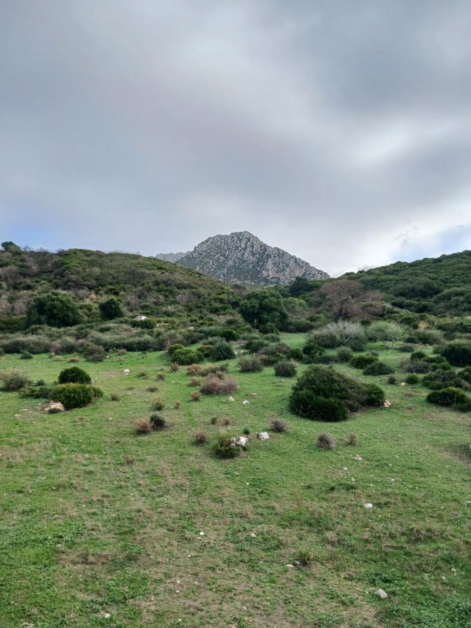 Natural landscape