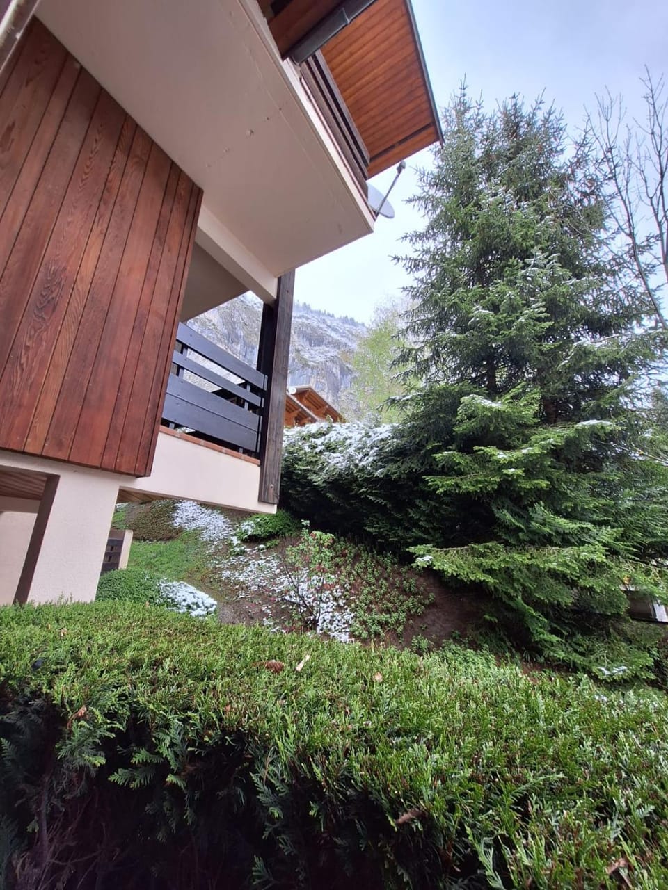Garden view