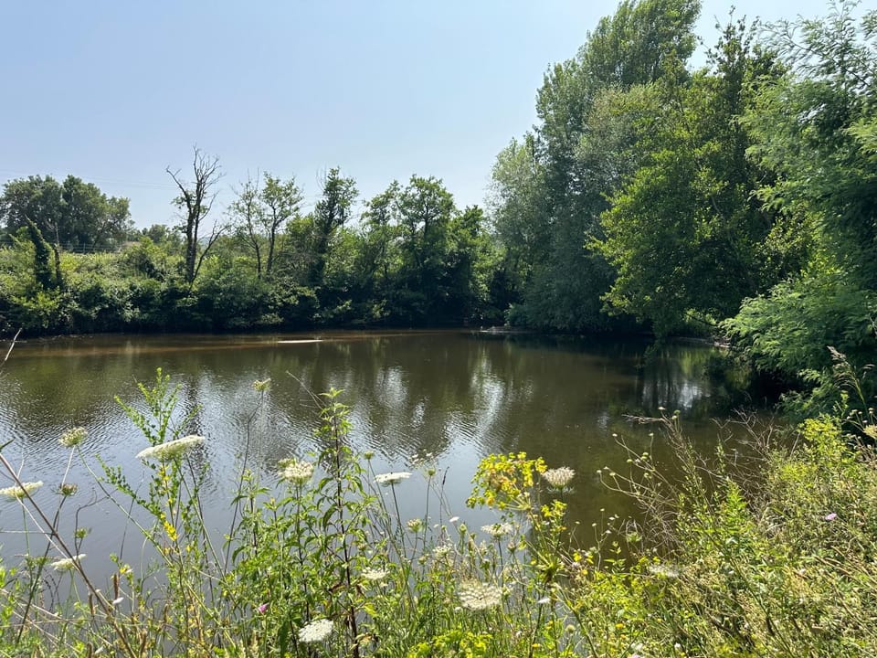 Natural landscape, Lake view, Lake view, River view