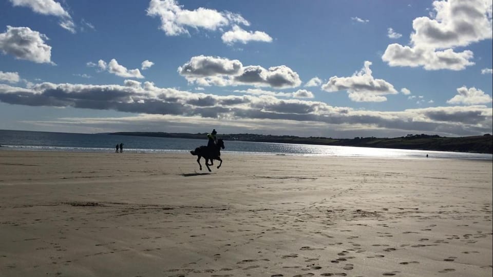 People, Horse-riding, Beach, Sea view, Location