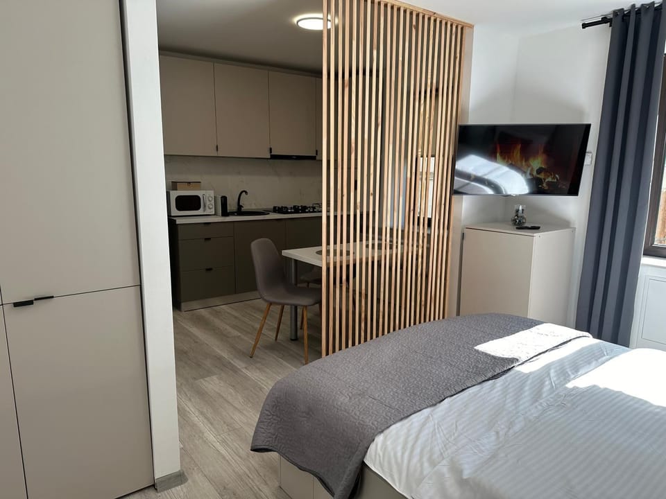 Bed, Kitchen or kitchenette, Photo of the whole room, Bedroom, minibar, stove
