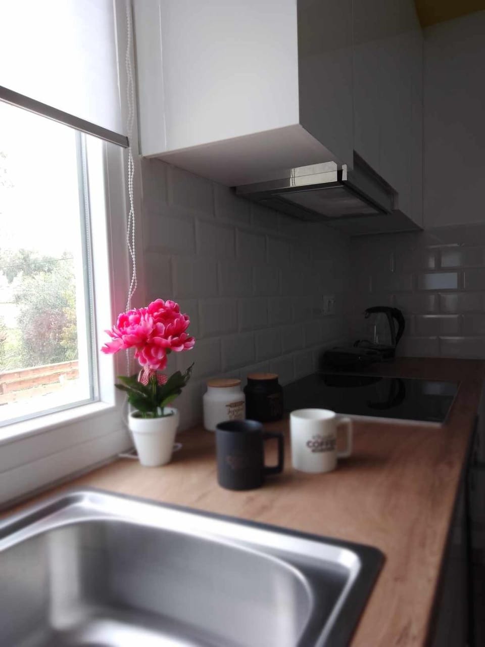 pet friendly, kitchen