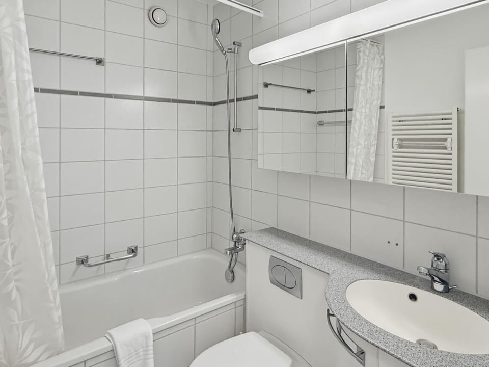 Toilet, Bathroom, Bath
