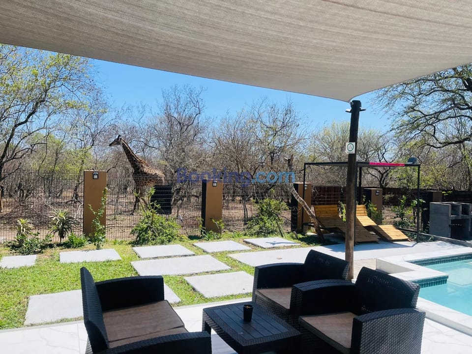 Garden, Seating area, Garden view, Pool view, Swimming pool, sunbed