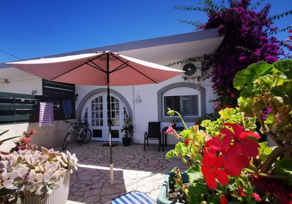 Patio, Day