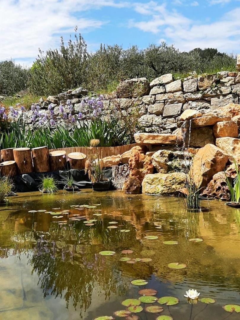 Tipizen Campground/ 
RV Resort in French Riviera