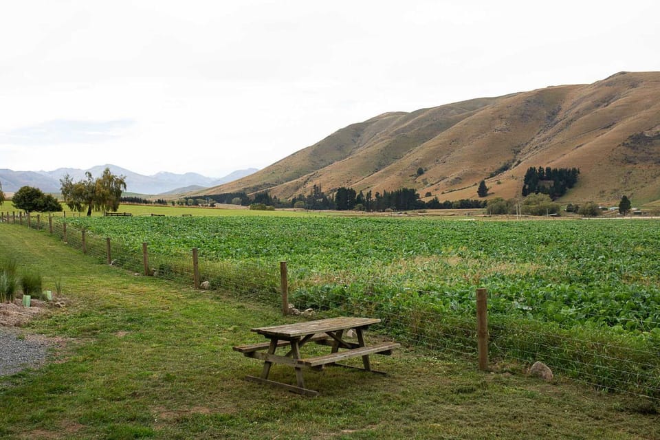 Seating area, Mountain view