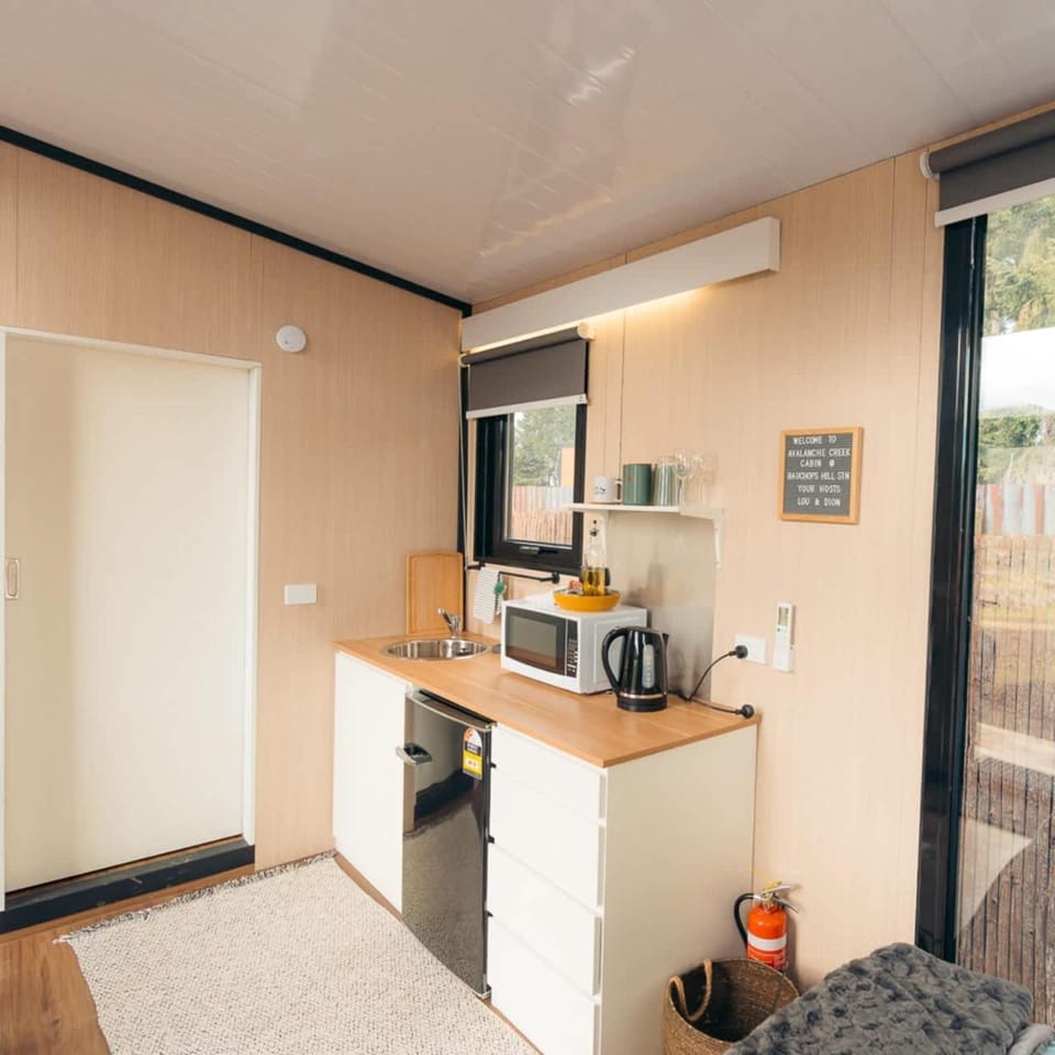 Avalanche Creek Cabin Cabin in Otago