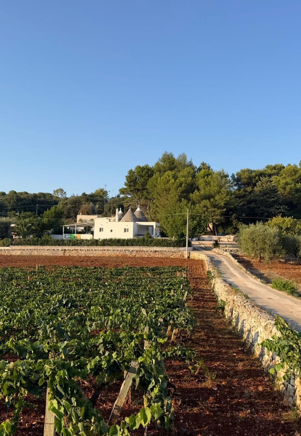 Casa Daniel Apartment in Apulia