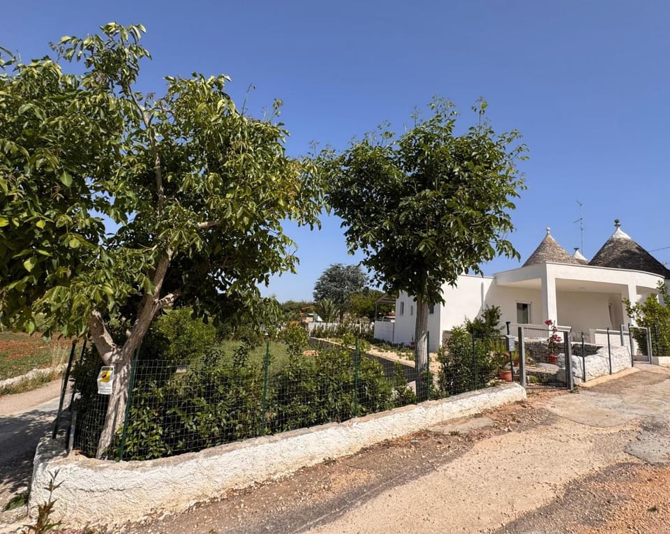 Property building, Garden view