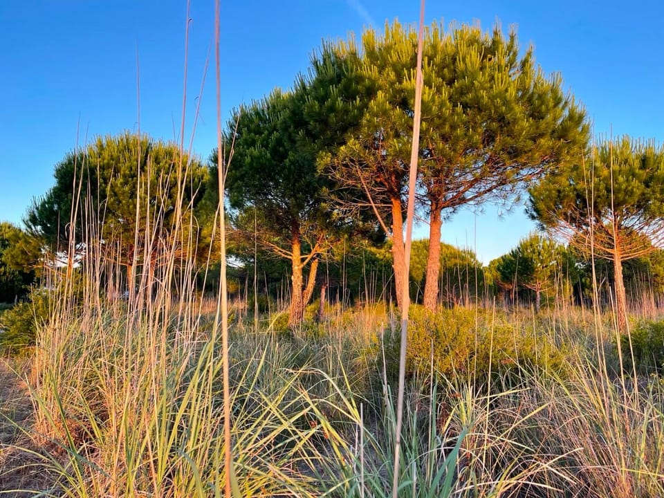 Colors by the Sea at Lalzi Bay Apartment in Europe