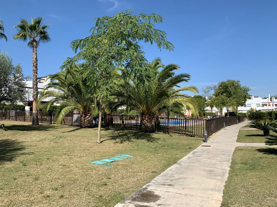 Garden, Garden, Garden view, Pool view