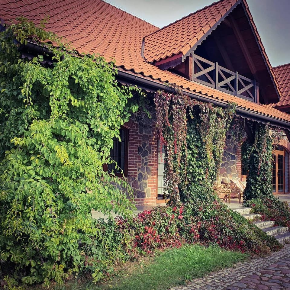 Property building, Day