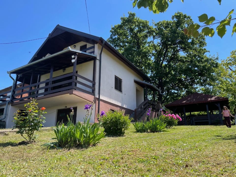 Vila Plavinac Villa in Serbia