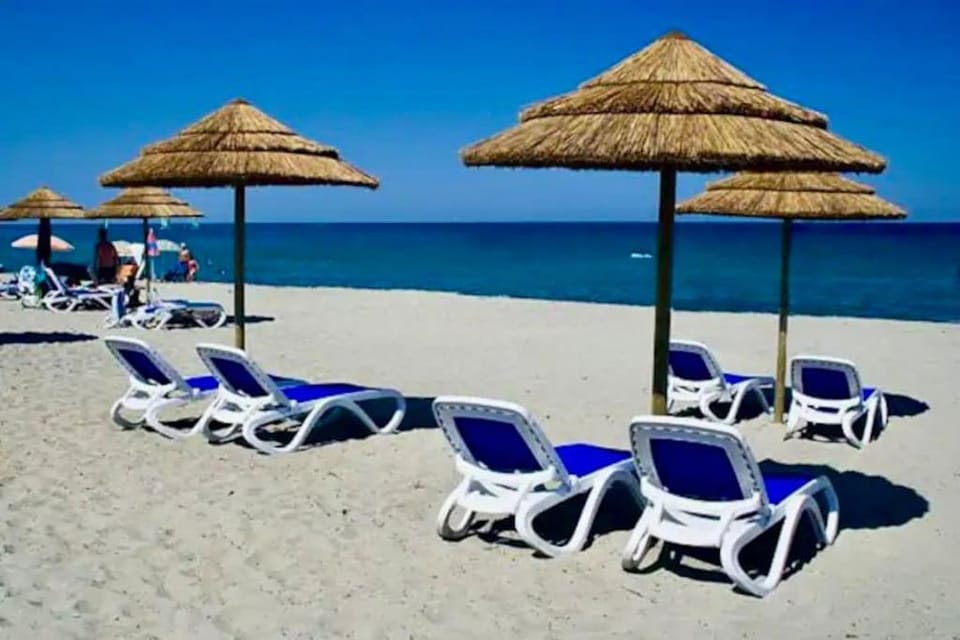Natural landscape, Beach, sunbed