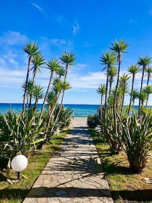 Natural landscape, Beach, Sea view