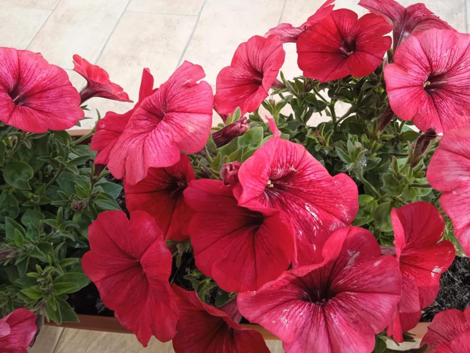 B&B LUCE Bed and Breakfast in Abruzzo