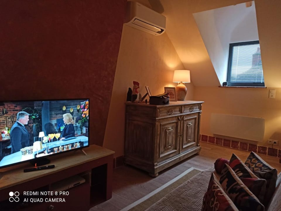 COSY STUDIO-LOFT climatisé Apartment in Centre-Val de Loire