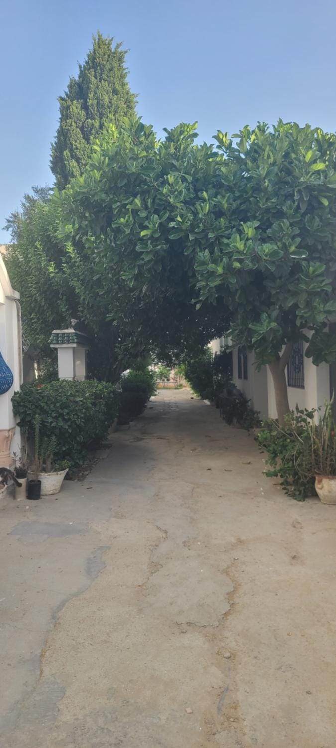 Signature Apartment in Tunisia