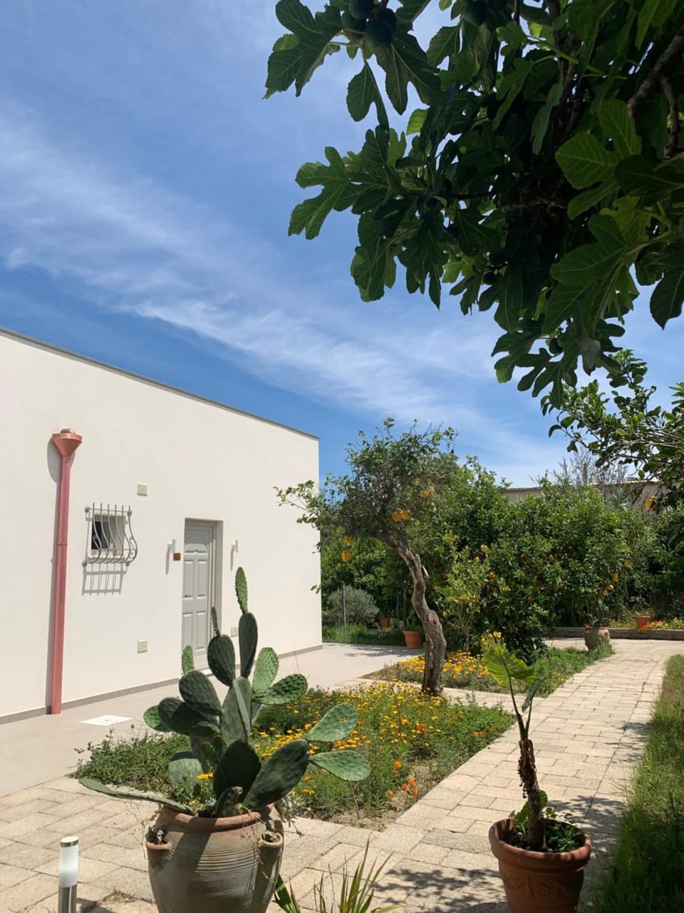 Spring, Day, Garden, Garden view
