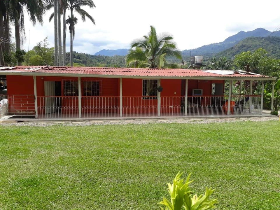 Property building, Garden