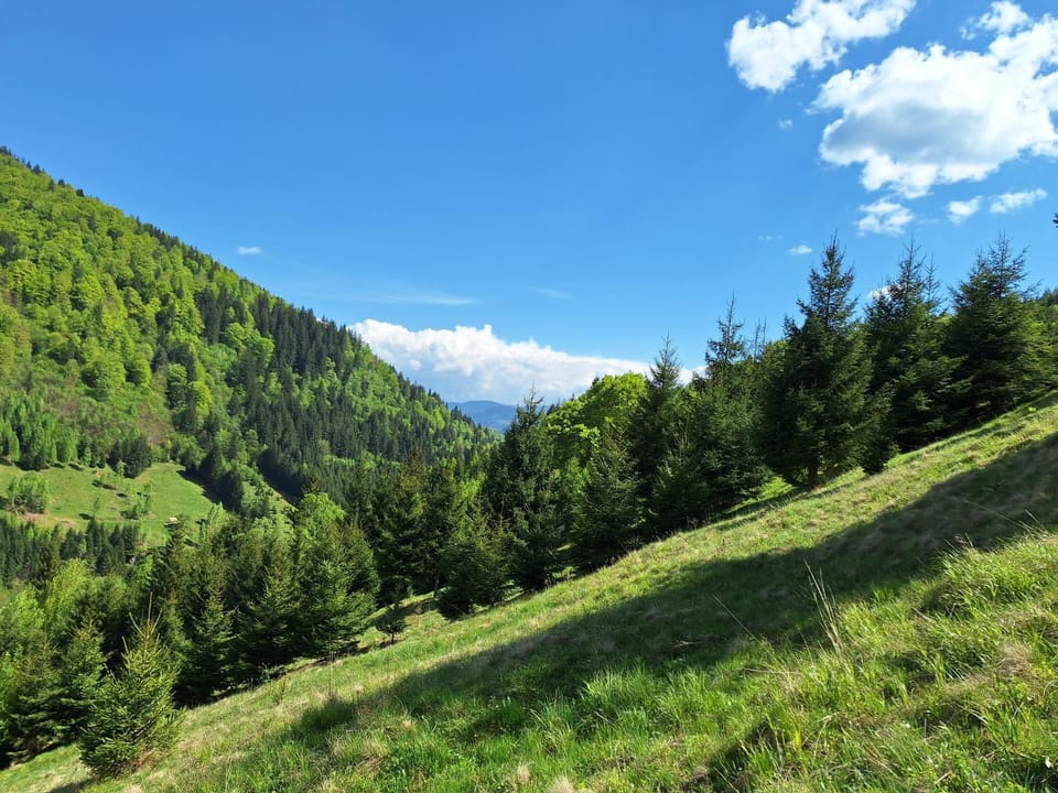Mountain view