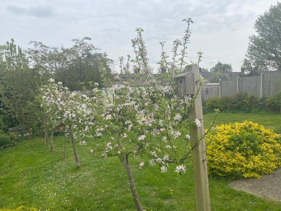 Detached Romantic Studio. Apartment in Warsop