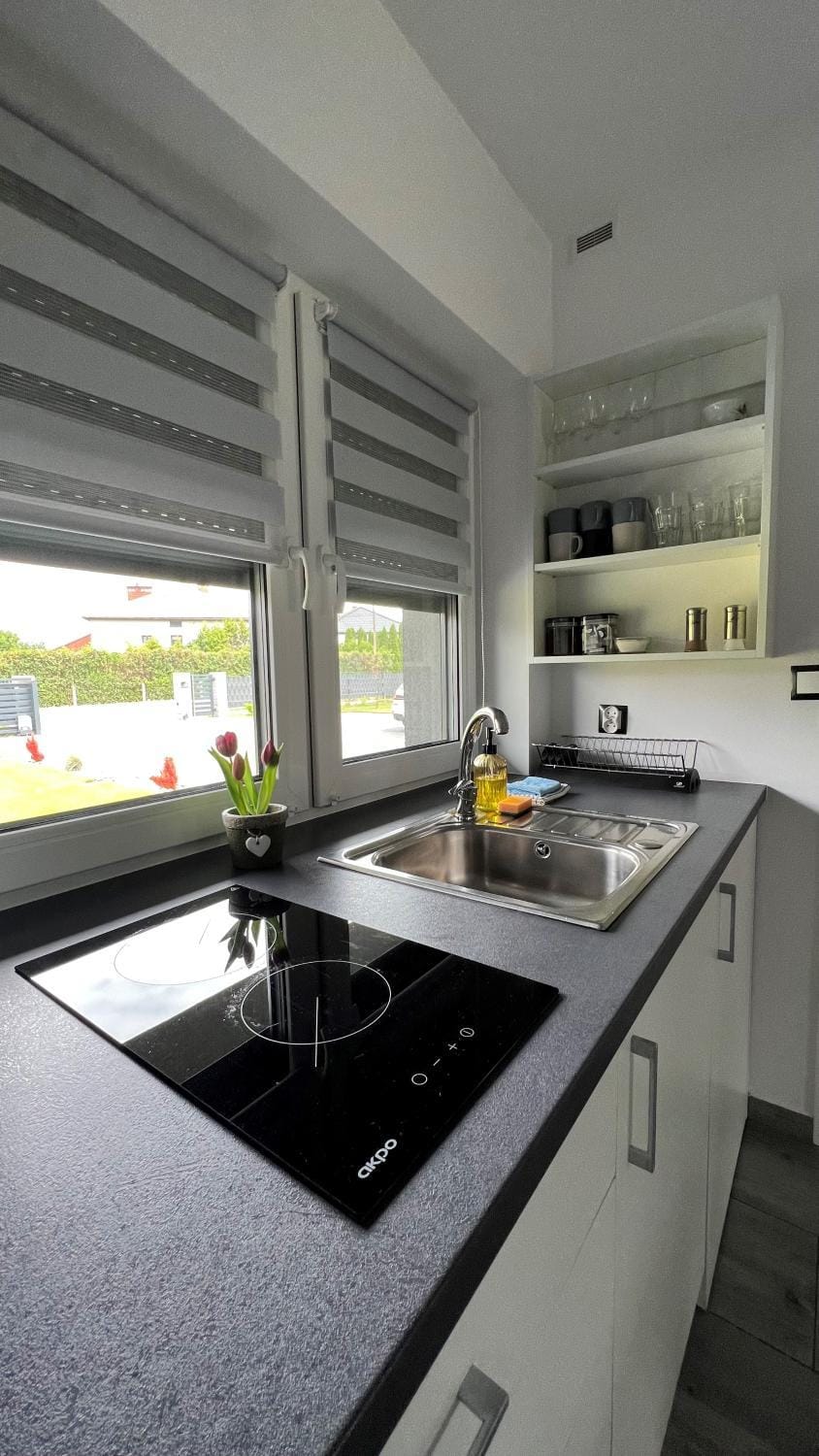 Kitchen or kitchenette, dishwasher, pet friendly, stove