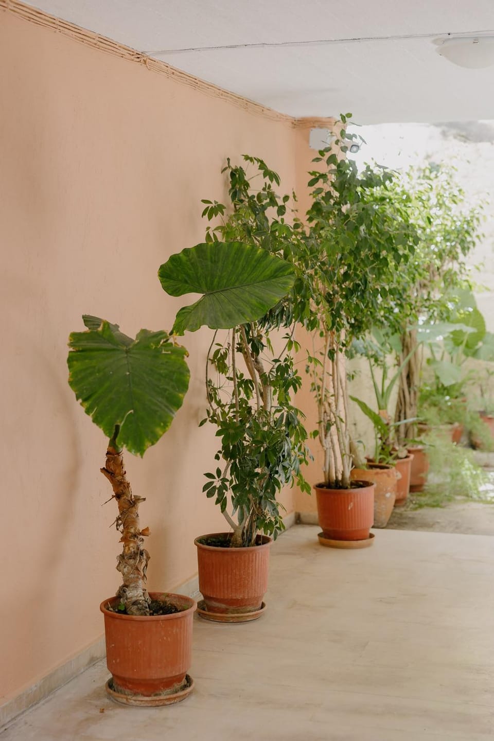 Catherine's View Apartment in Corfu