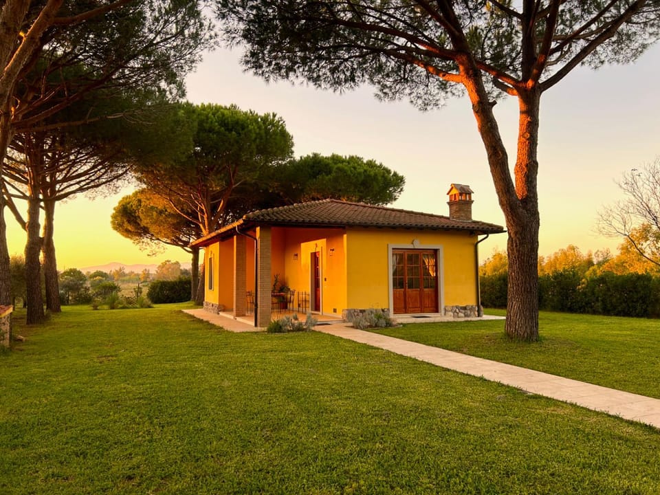 Property building, Spring, Day, Natural landscape, Garden, Garden view
