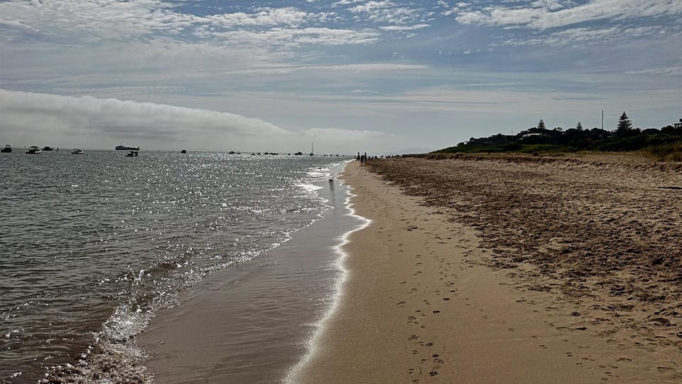 Natural landscape, Garden, Beach, Sea view